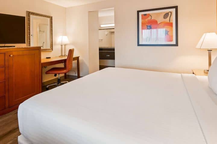 Room 6 of 29